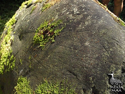 Камень на реке Мерешка