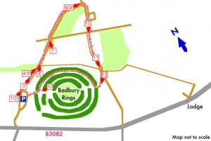 Комплекс Badbury Rings («захоронение плохих колец»)