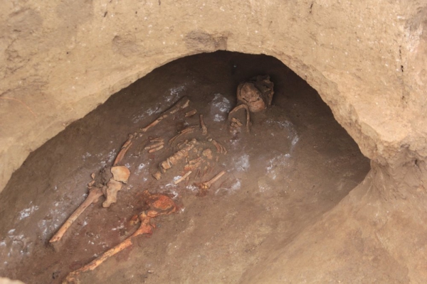 На Ставрополье нашли повозку возрастом четыре тысячи лет
