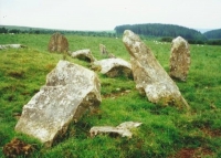 Каменный круг в Пемброкшире (Dyffryn Syfynwy  Stones)