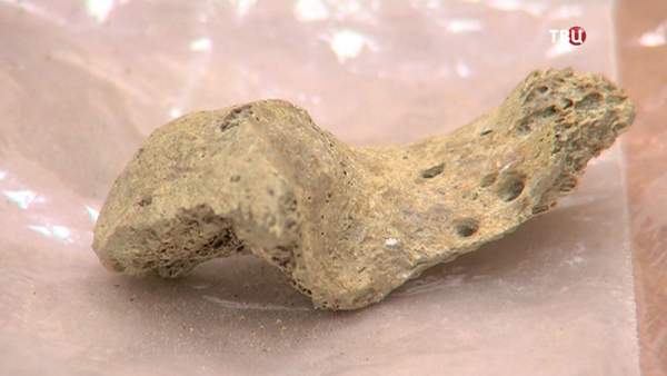 В Иркутской области найдены человеческие останки, которым 50 тысяч лет