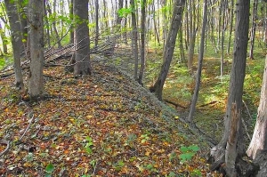 Городище Звенигород