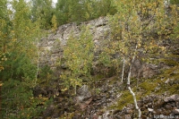 Оленеостровский могильник