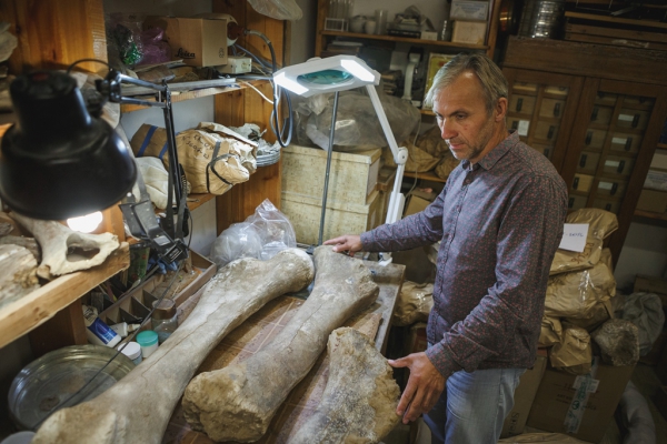 В Сибири нашли уникальные отложения костей мамонтов