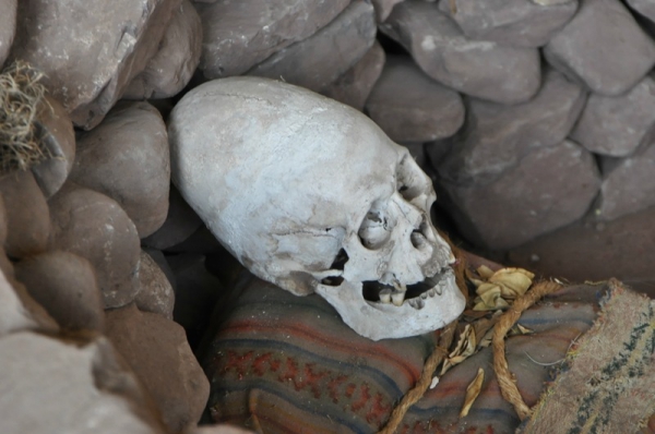 В Перу найдена могила жрецов с вытянутыми черепами