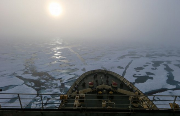 Новосибирские ученые доказали существование двух континентов, сформировавших Арктику