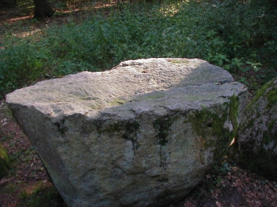 Мегалитический комплекс Бухгольц (Megalith Struktur bei Buchholz)