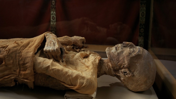 Древнеегипетский «матриархат» в ДНК мумий 
