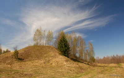 Городище и курганы в д.Багриново