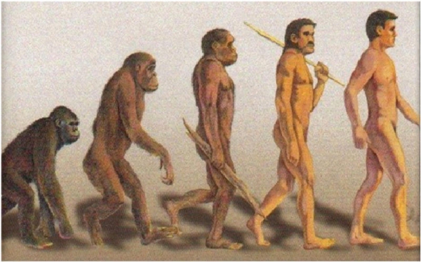 Ученые отодвинули эволюцию человека на миллион лет назад