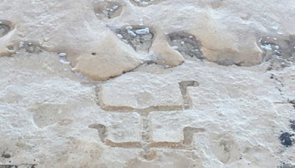 На Гавайях обнаружены древние петроглифы