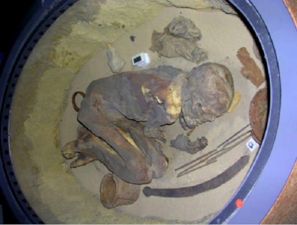 «Туринская мумия» принадлежала мужчине 20-30 лет, который умер примерно 5,6 тысяч лет назад.  Stephen Buckley / University of York