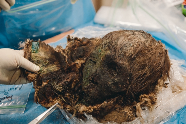 На Ямале найдена мумия древней красотки / Фото: 72.ru