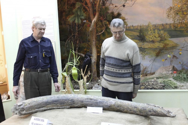 Научная сенсация. Бивню мамонта, найденного под Челябинском, может быть почти миллион лет