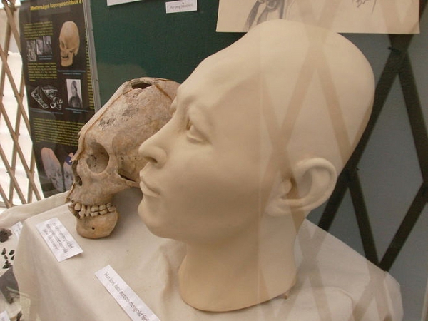В Приморье обнаружены деформированные черепа