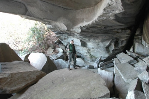 Петроглифы Table Rock