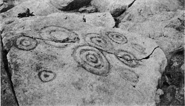 Петроглифы на реке Ориноко (Caicara del Orinoco)