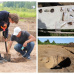 «Захоронению около 3500 лет». В Кузнечихе откопали целую доисторическую деревню